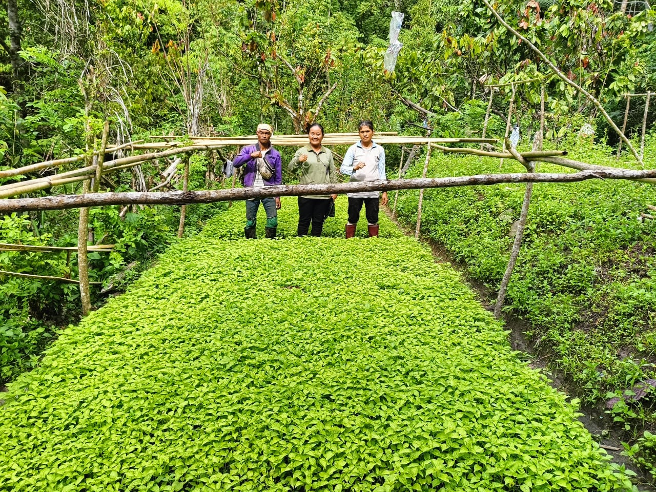 Pertanian Organik Makmur