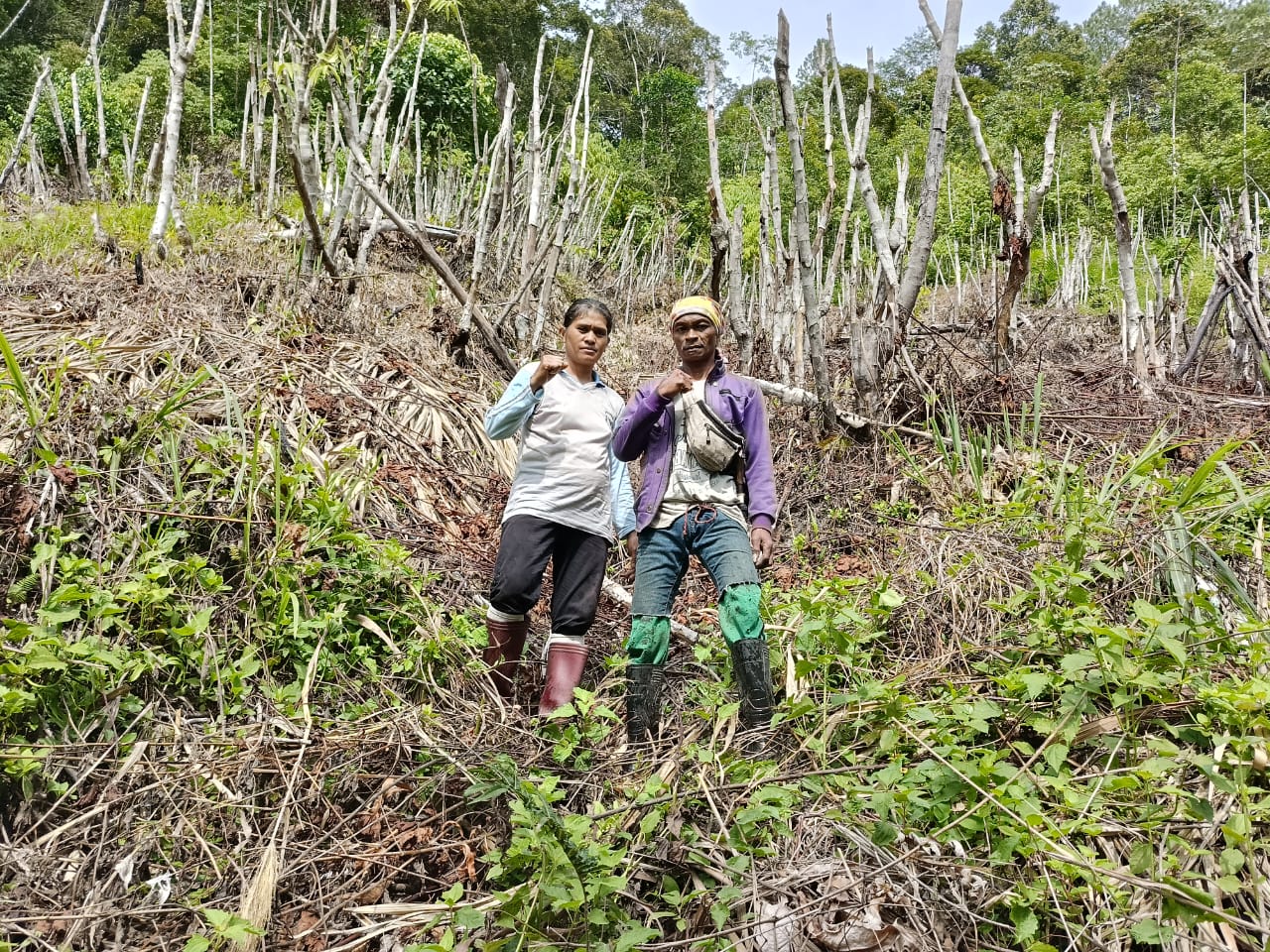 Agrowisata Kebun Kopi